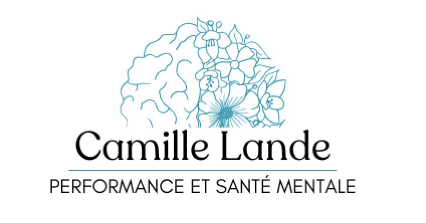 Camille Lande Psychologue Prévention Risques Psychosociaux RPS Entreprises Collectivités Publiques BAAVA Santé Mentale Travail