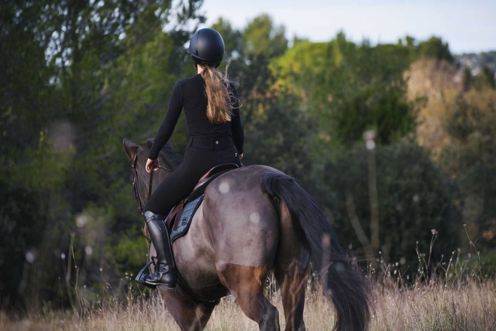 Camille Lande Psychologue Préparation Mentale Aix-en-Provence Marseille Performance Bien-être Préparateur Mental Cavalier Équitation Cheval Poney Club Amateur Obstacle CSO CCE Dressage Compétition Concours La Motte